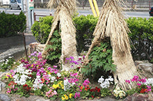 雪吊り・雪囲い