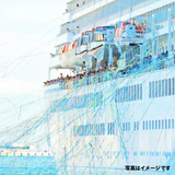 カラー紙テープ 撥水・耐水<br>巾50mm×長さ30m  全10色