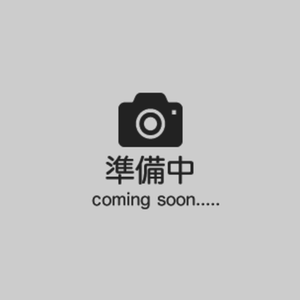 グリーンネットバッグ